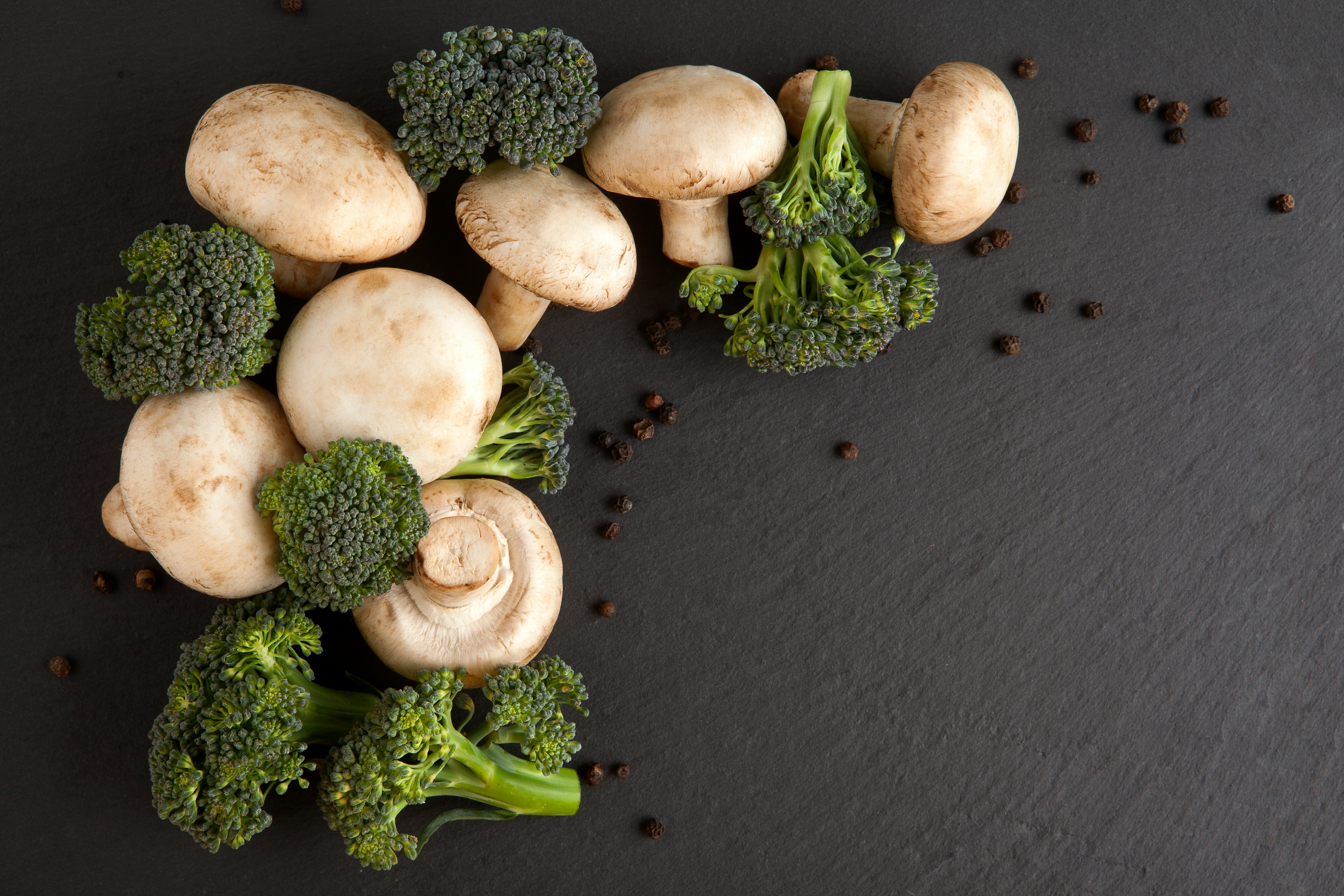 green and brown mushroom on black surface